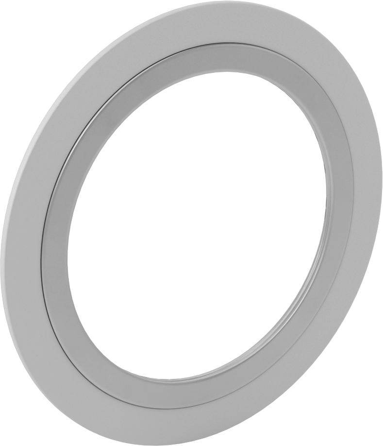 Yüksek Sıcaklığa Dayanıklı Metalik Conta, 4 Boru Boyutu için, ANSI Sınıf 300, Grafit Dolgu Maddesi