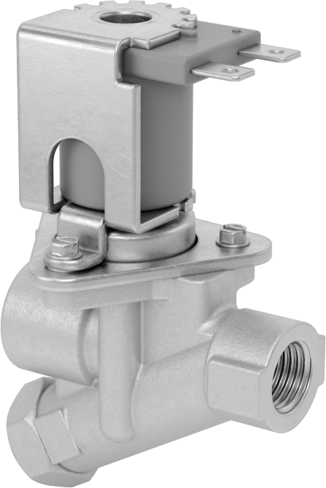 Kolay Erişilebilir Süzgeçli Solenoid Açma/Kapama Vanası, Deterjan için, 120V AC, 1/4 NPT Dişi