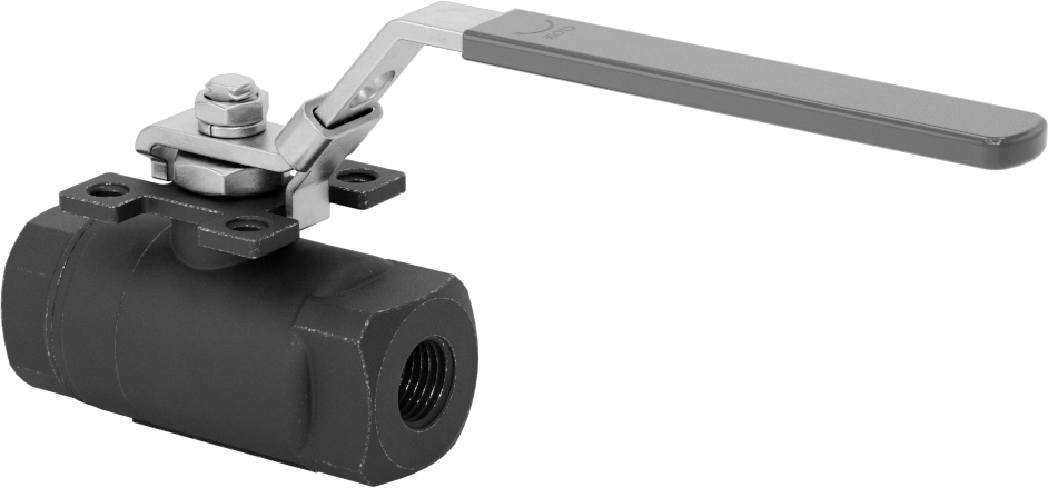 Yakıt için Çelik Gövde Açma/Kapama Vanası, Grafit Conta, 1/4 NPT Dişi, 2220 PSI @ 100°F