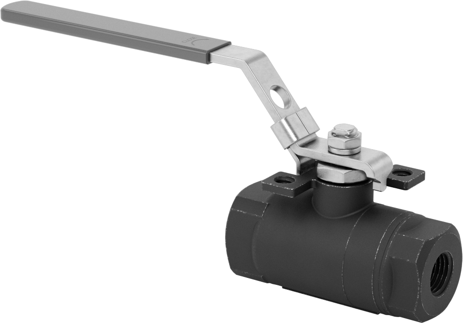 Yakıt için Çelik Gövde Açma/Kapama Vanası, Grafit Conta, 1/4 NPT Dişi, 2220 PSI @ 100°F