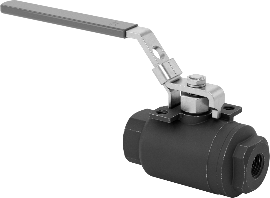 Yakıt için Çelik Gövde Açma/Kapama Vanası, Grafit Conta, 1/4 NPT Dişi, 3600 PSI @ 100°F