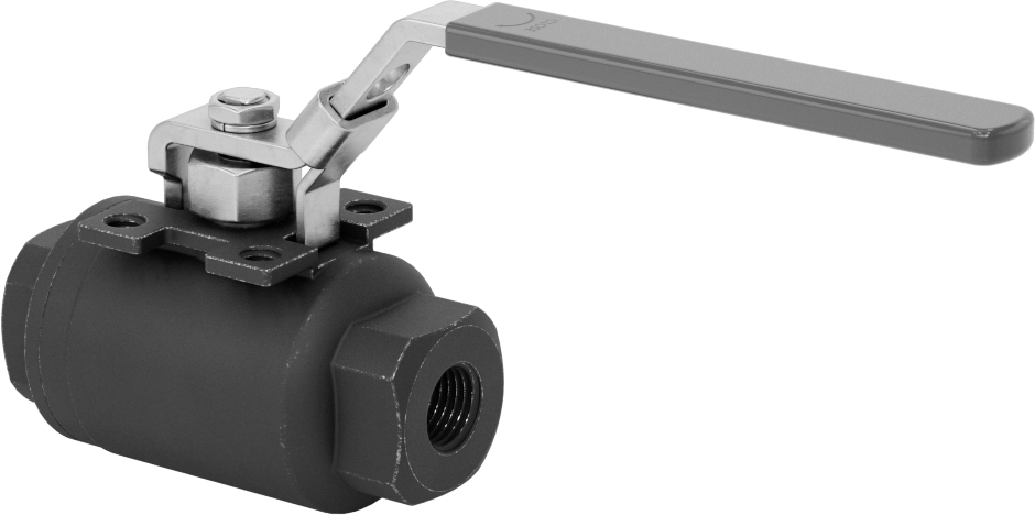 Yakıt için Çelik Gövde Açma/Kapama Vanası, Grafit Conta, 1/4 NPT Dişi, 3600 PSI @ 100°F