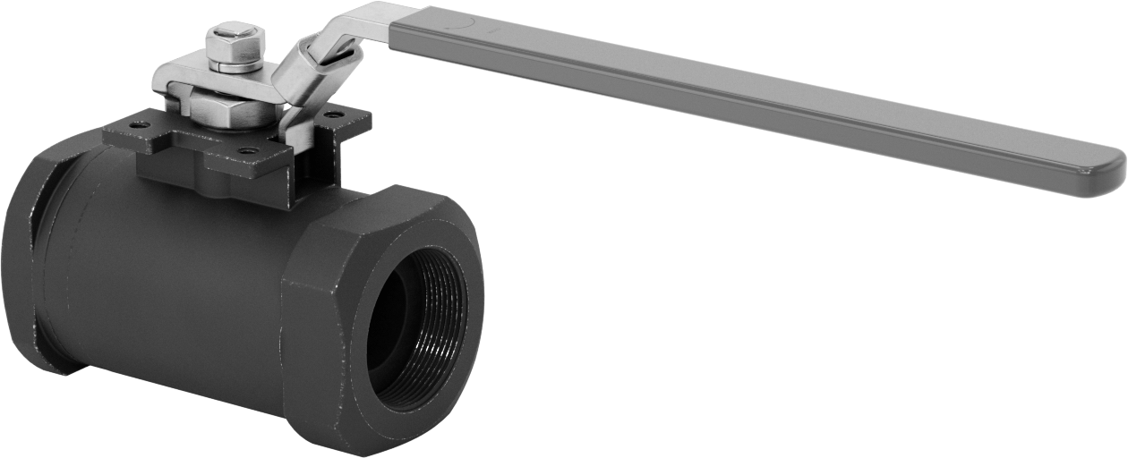 Yakıt için Çelik Gövde Açma/Kapama Vanası, Grafit Conta, 2 NPT Dişi, 3600 PSI @ 100°F Maksimum
