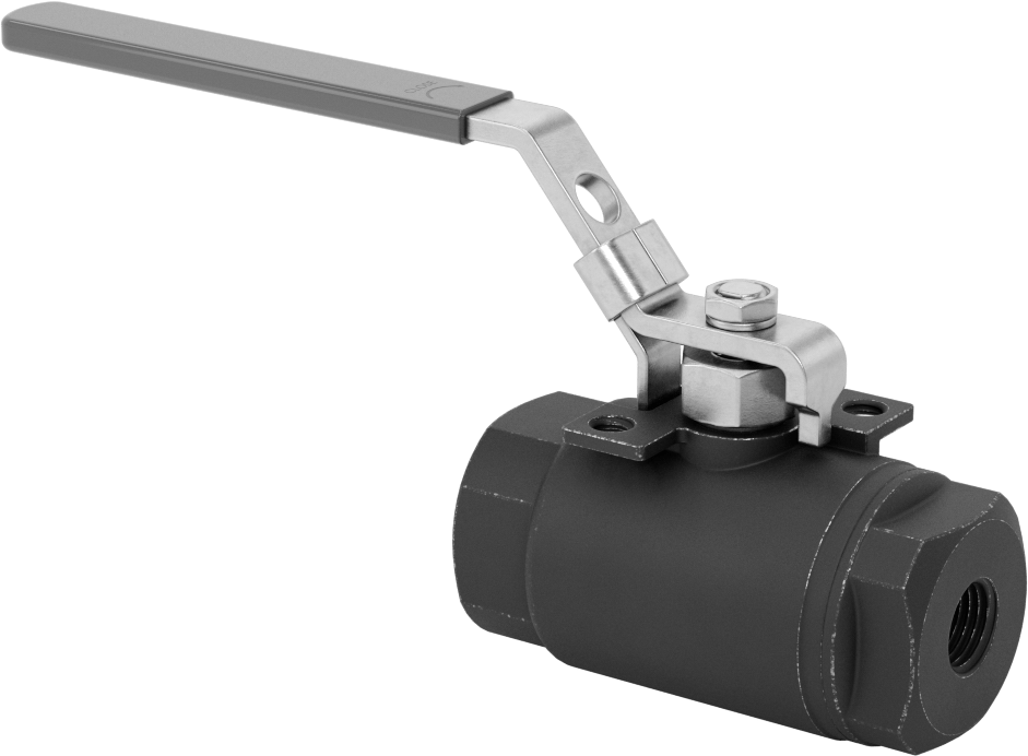 Yakıt için Çelik Gövde Açma/Kapama Vanası, Grafit Conta, 1/4 NPT Dişi, 6000 PSI @ 100°F