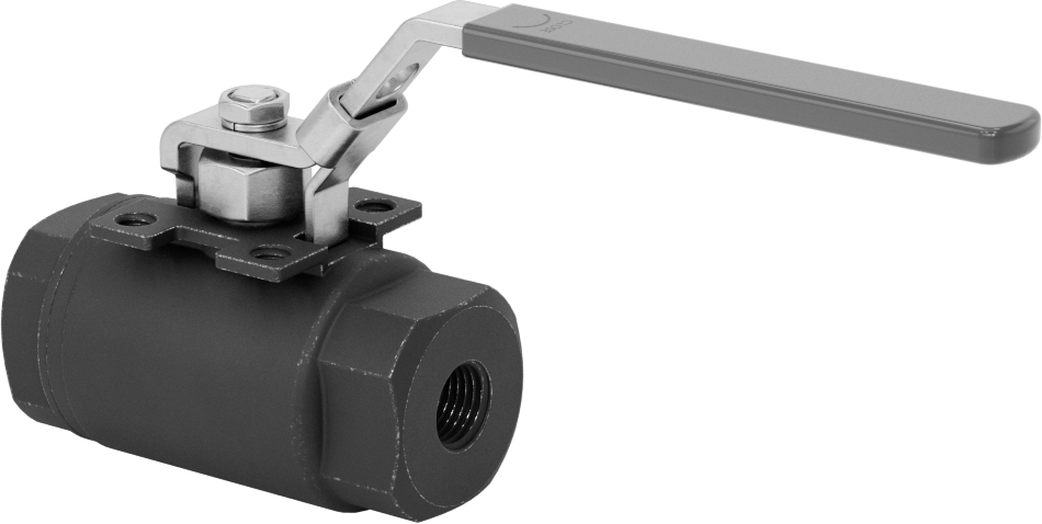 Yakıt için Çelik Gövde Açma/Kapama Vanası, Grafit Conta, 1/4 NPT Dişi, 6000 PSI @ 100°F