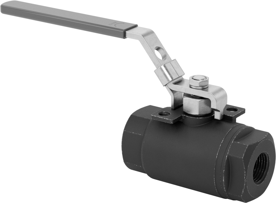 Yakıt için Çelik Gövde Açma/Kapama Vanası, Grafit Conta, 3/8 NPT Dişi, 6000 PSI @ 100°F