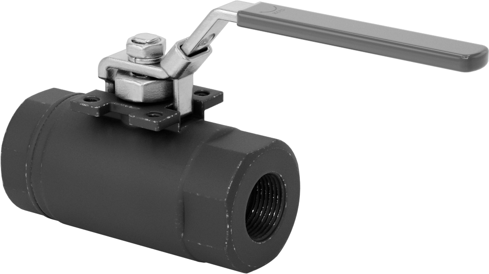 Yakıt için Çelik Gövde Açma/Kapama Vanası, Grafit Conta, 3/4 NPT Dişi, 6000 PSI @ 100°F