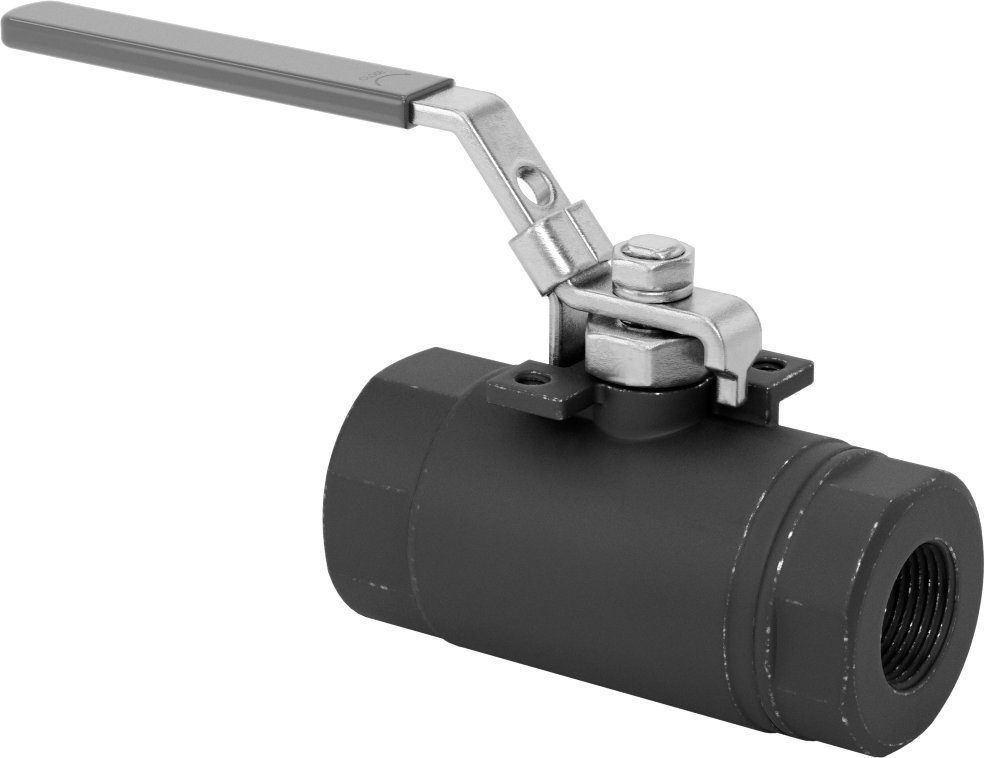 Yakıt için Çelik Gövde Açma/Kapama Vanası, Grafit Conta, 3/4 NPT Dişi, 6000 PSI @ 100°F