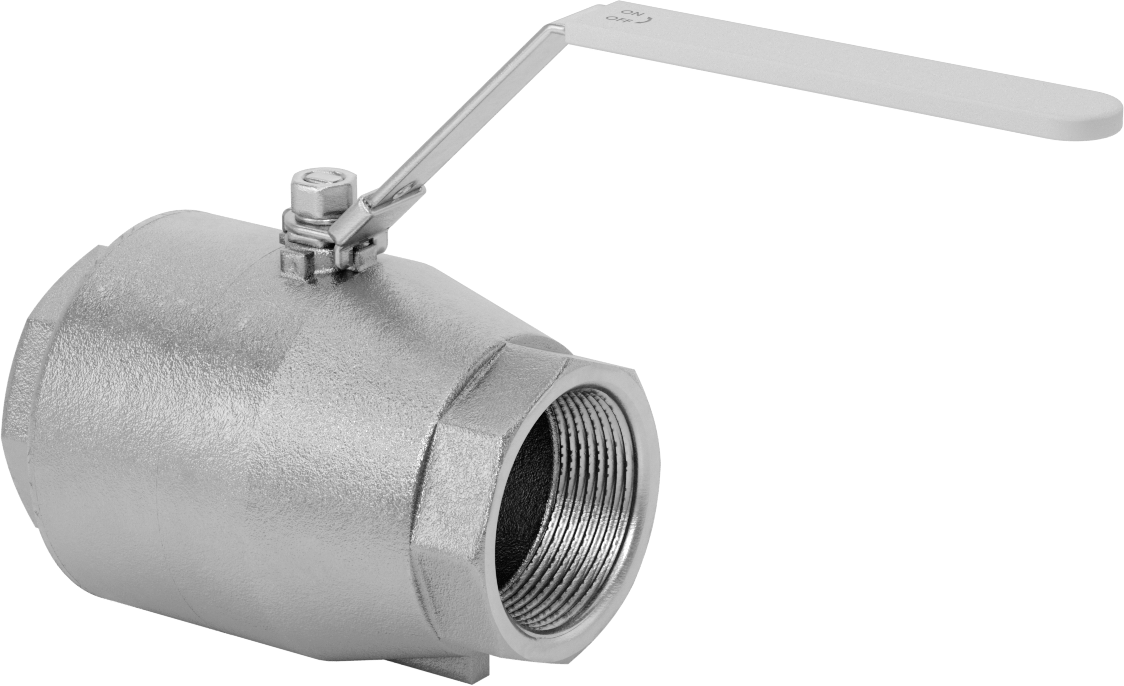 316 Paslanmaz Çelik Kolay Bakımlı Açma/Kapama Valfi, Kilitlenebilir Tutamak ile, PTFE Conta, 2-1/2 NPT Dişi