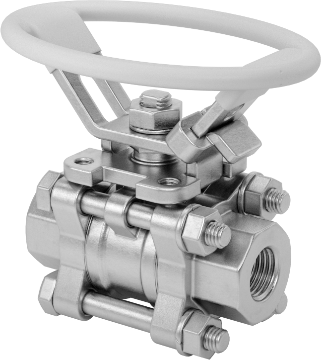 316 Paslanmaz Çelik Kolay Bakımlı Açma/Kapama Valfi, Oval Saplı 316 Paslanmaz Çelik Gövde, PTFE Conta, 1/4 NPT Dişi