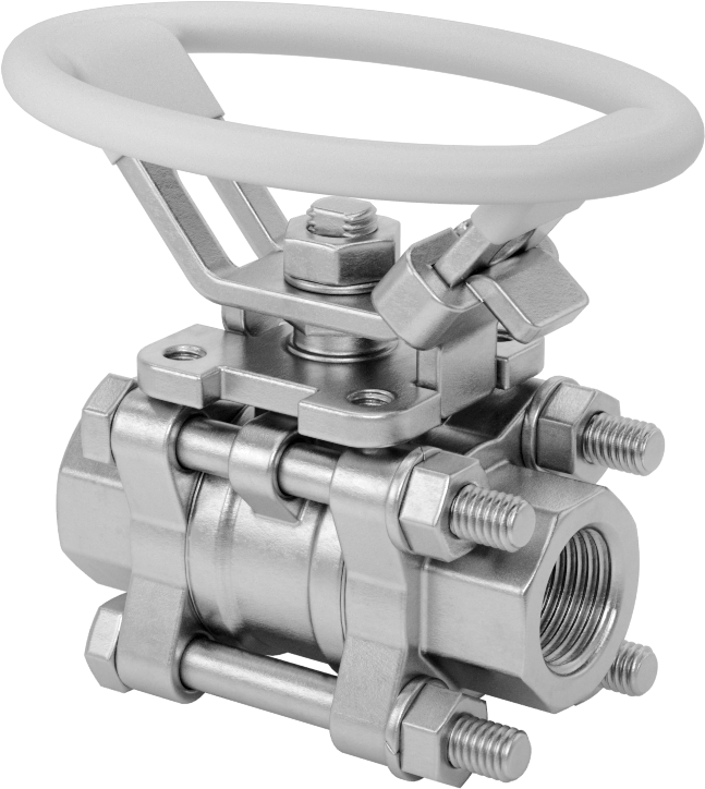 316 Paslanmaz Çelik Kolay Bakımlı Açma/Kapama Valfi, Oval Saplı, PTFE Conta, 3/8 NPT Dişi