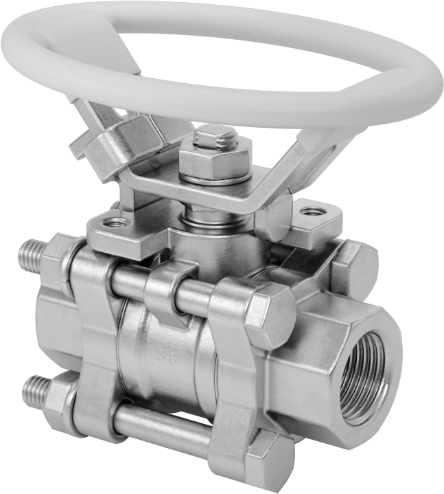 316 Paslanmaz Çelik Kolay Bakımlı Açma/Kapama Valfi, Oval Saplı, PTFE Conta, 3/8 NPT Dişi