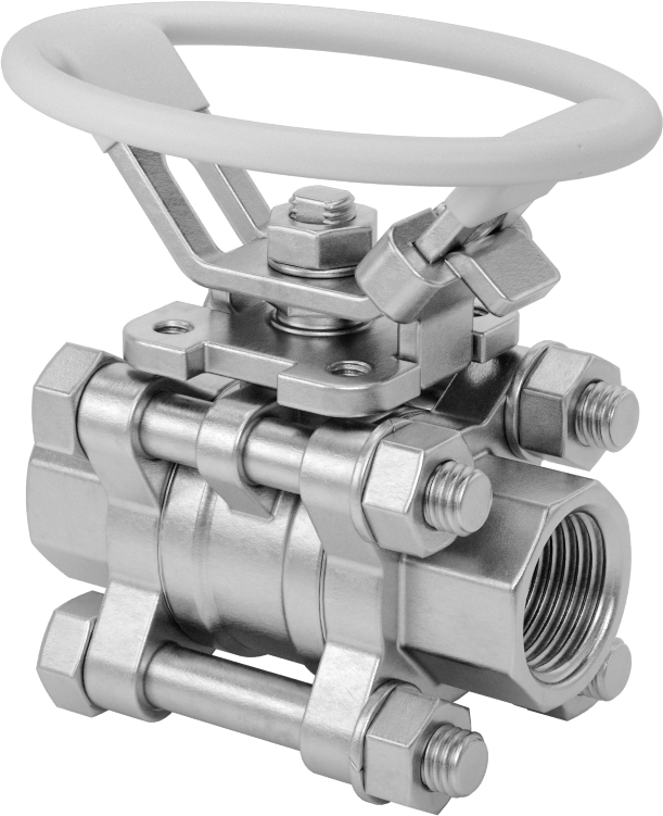 316 Paslanmaz Çelik Kolay Bakımlı Açma/Kapama Valfi, Oval Saplı, PTFE Conta, 1/2 NPT Dişi