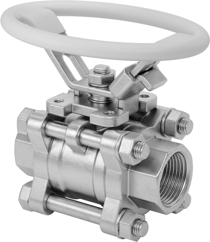 316 Paslanmaz Çelik Kolay Bakımlı Açma/Kapama Valfi, Oval Saplı, PTFE Conta, 3/4 NPT Dişi