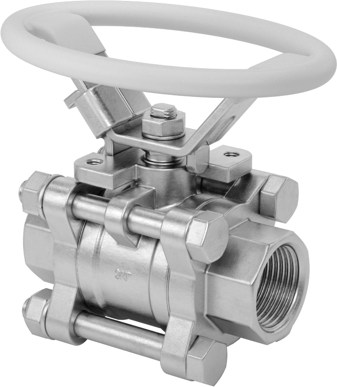316 Paslanmaz Çelik Kolay Bakımlı Açma/Kapama Valfi, Oval Saplı, PTFE Conta, 3/4 NPT Dişi