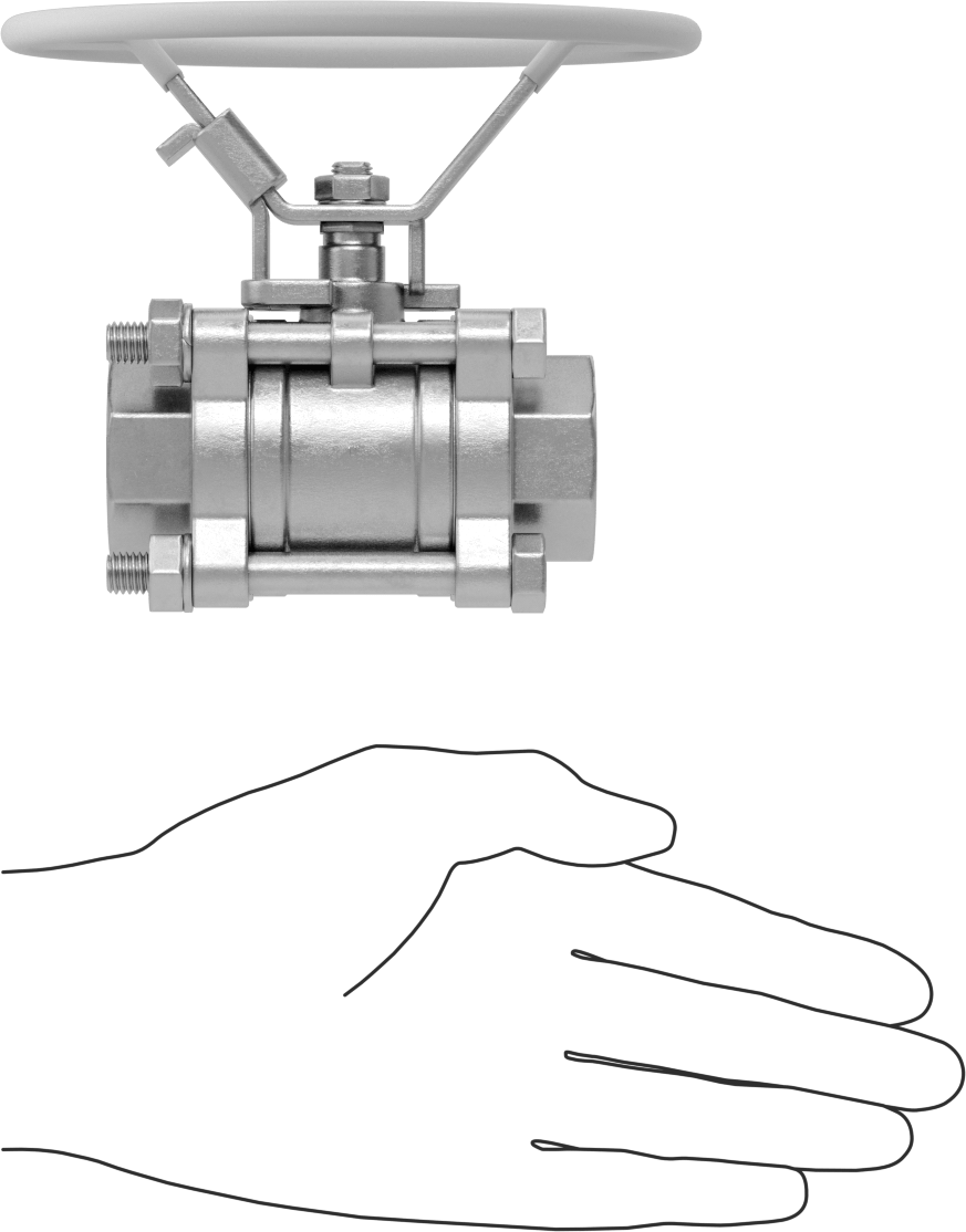 316 Paslanmaz Çelik Kolay Bakımlı Açma/Kapama Valfi, Oval Saplı, PTFE Conta, 1 NPT Dişi