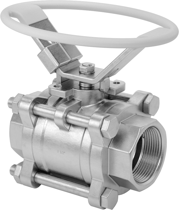 316 Paslanmaz Çelik Kolay Bakımlı Açma/Kapama Valfi, Oval Saplı, PTFE Conta, 1-1/2 NPT Dişi