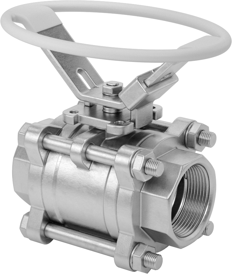 316 Paslanmaz Çelik Kolay Bakımlı Açma/Kapama Valfi, Oval Saplı, PTFE Conta, 1-1/2 NPT Dişi