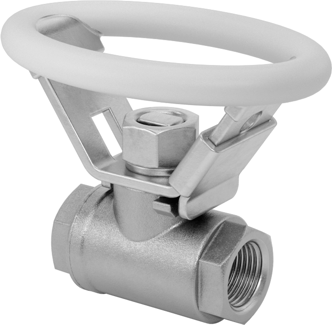 Ultra Korozyon Dirençli Tam Açıklıklı Açma/Kapama Vanası, Kilitlenebilir Oval Tutamak ile, 3/8 NPT Dişi
