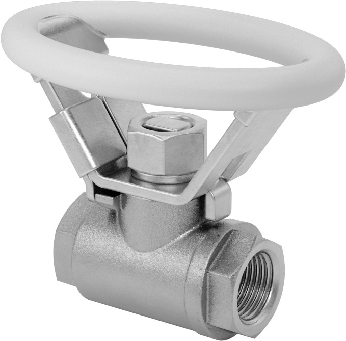 Ultra Korozyon Dirençli Tam Açıklıklı Açma/Kapama Vanası, Kilitlenebilir Oval Tutamak ile, 3/8 NPT Dişi