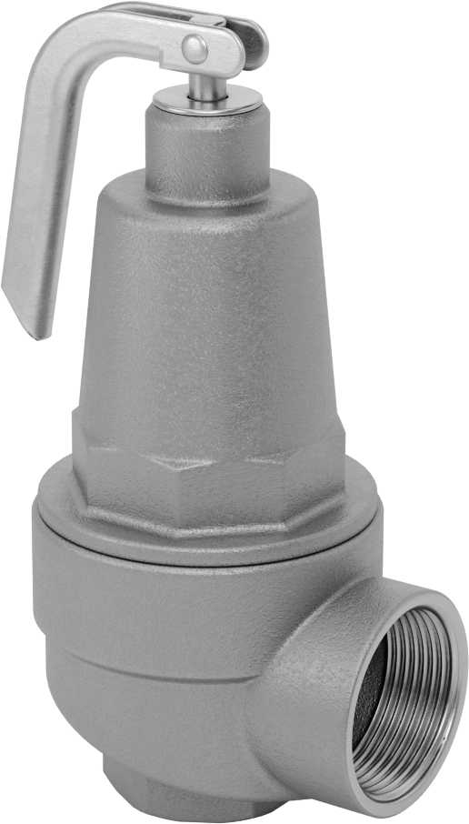 ASME Kodlu Hızlı Etkili Basınç Tahliye Vanası, Sıcak Su için, 1 NPT Dişi x 1-1/4 NPT Dişi