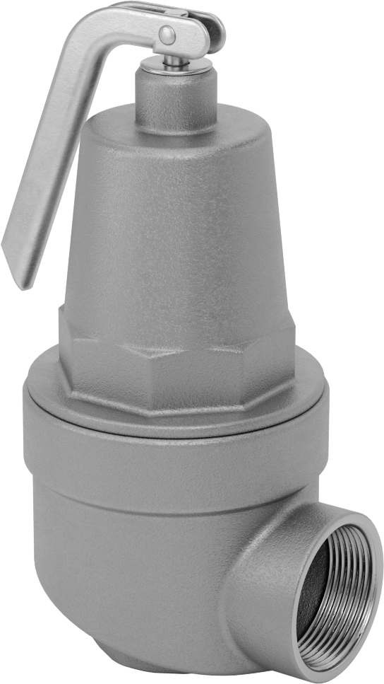 ASME Kodlu Hızlı Etkili Basınç Tahliye Vanası, Sıcak Su için, 1-1/4 NPT Dişi x 1-1/2 NPT Dişi