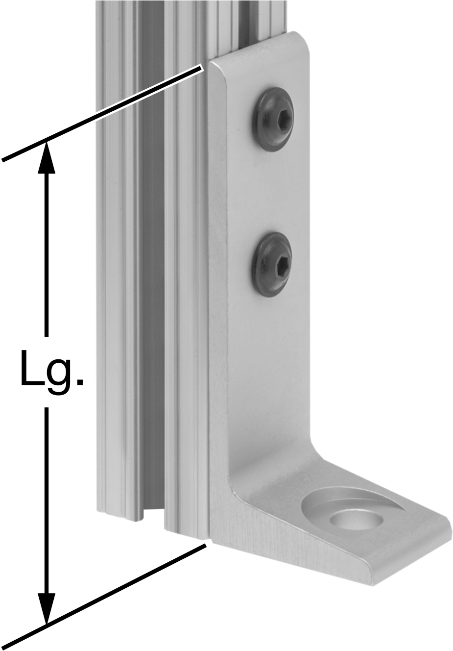 Fixed-Height Mounting Foot for Single Rails
