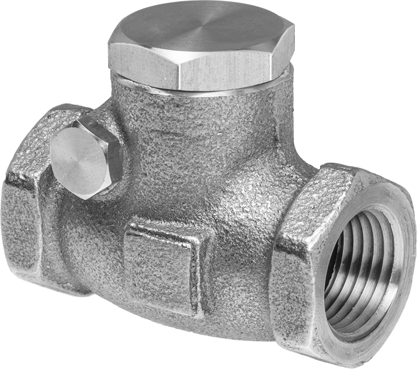 Yüksek Akışlı Dişli Çek Valf, Bronz Gövde, 1/2 NPT Dişi, 125 Basınç Sınıfı