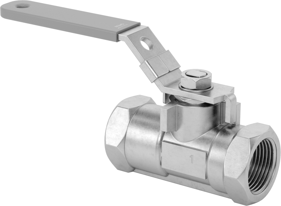 Yakıt için 316 Paslanmaz Çelik Açma/Kapama Vanası, Grafit Conta, 1 NPT Dişi, 1000 PSI @ 200°F Maksimum