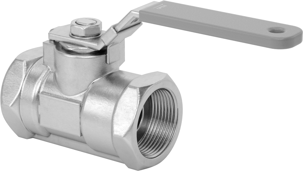 Yakıt için 316 Paslanmaz Çelik Açma/Kapama Vanası, Grafit Conta, 1-1/4 NPT Dişi, 1000 PSI @ 200°F