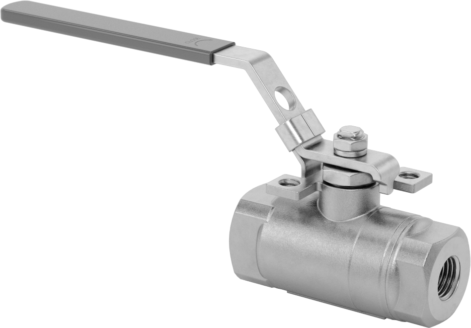 Yakıt için 316 Paslanmaz Çelik Açma/Kapama Vanası, Grafit Conta, 1/4 NPT Dişi, 2160 PSI @ 100°F Maksimum