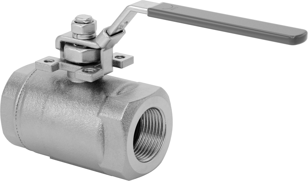 Yakıt için 316 Paslanmaz Çelik Açma/Kapama Vanası, Grafit Conta, 1 NPT Dişi, 2160 PSI @ 100°F Maksimum