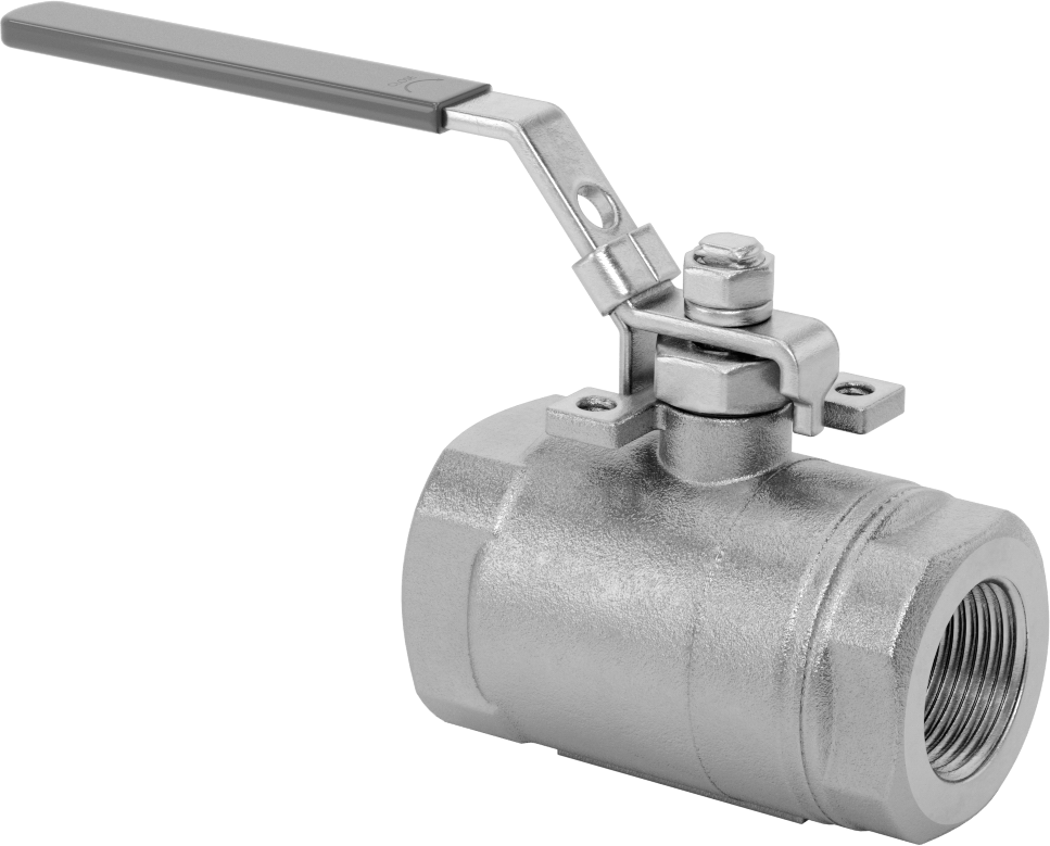 Yakıt için 316 Paslanmaz Çelik Açma/Kapama Vanası, Grafit Conta, 1 NPT Dişi, 2160 PSI @ 100°F Maksimum
