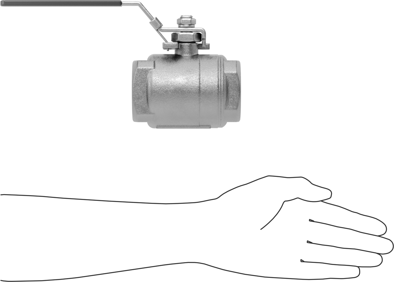 Yakıt için 316 Paslanmaz Çelik Açma/Kapama Vanası, Grafit Conta, 1-1/2 NPT Dişi, 2160 PSI @ 100°F