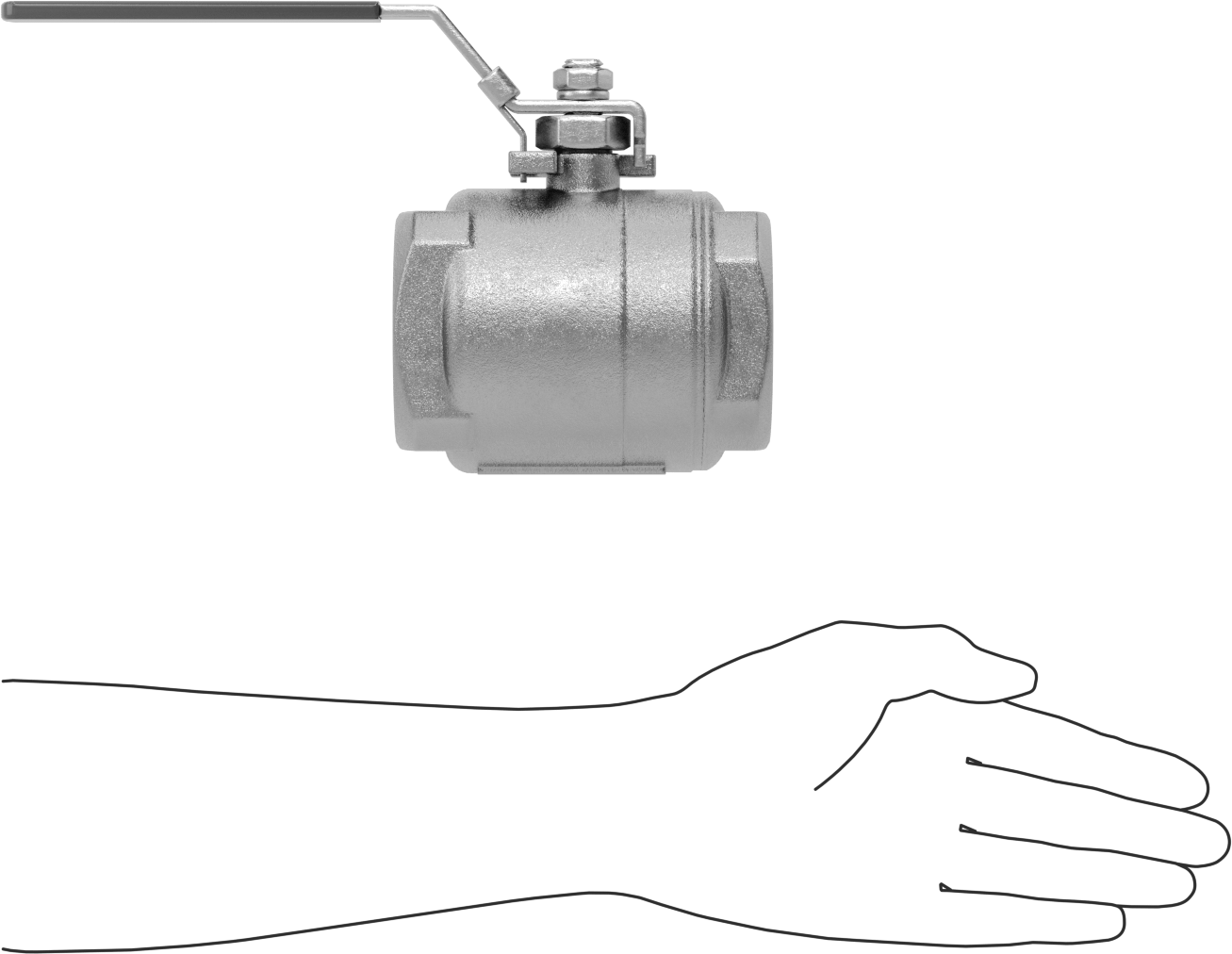 Yakıt için 316 Paslanmaz Çelik Açma/Kapama Vanası, Grafit Conta, 2 NPT Dişi, 2160 PSI @ 100°F Maksimum