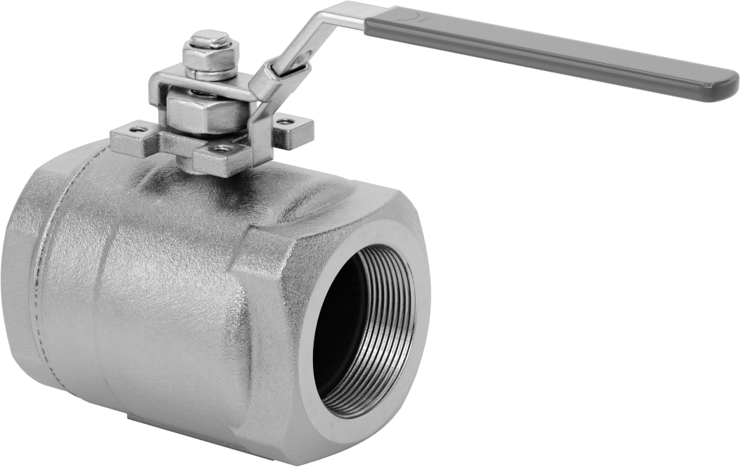 Yakıt için 316 Paslanmaz Çelik Açma/Kapama Vanası, Grafit Conta, 2 NPT Dişi, 2160 PSI @ 100°F Maksimum