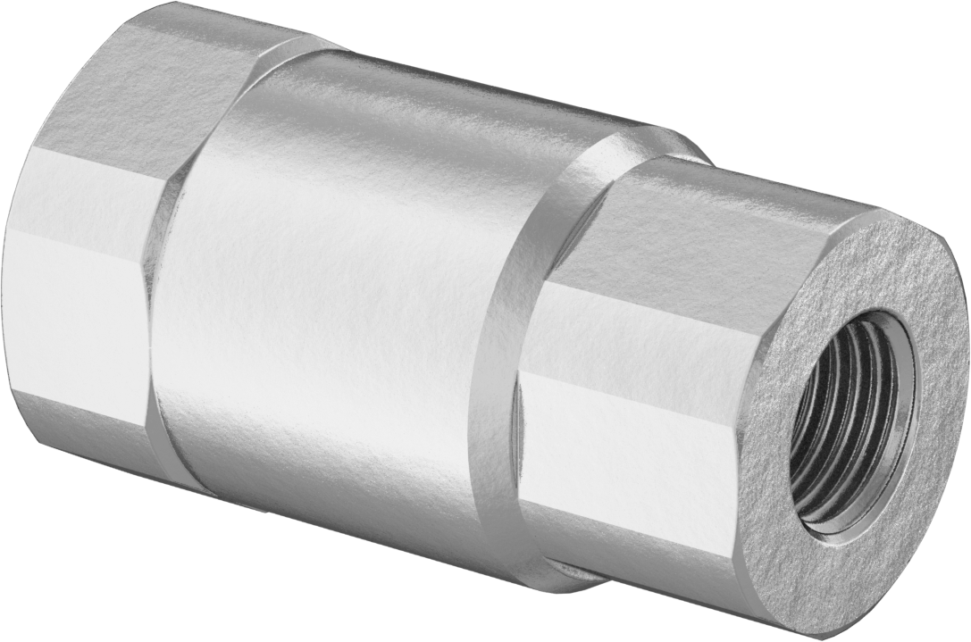Bronz Dişli Çek Valf, PTFE Yaylı Bilyeli, 1/4 NPT Dişi