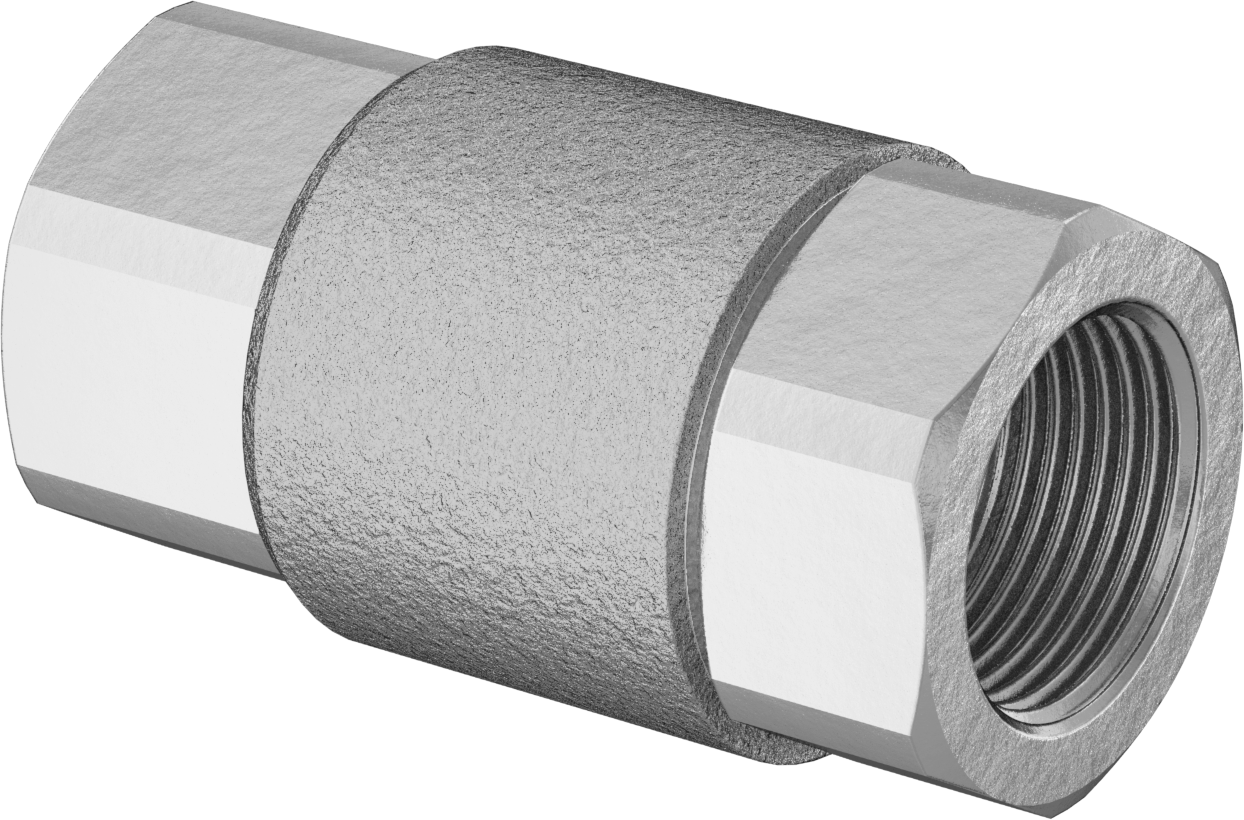 Bronz Dişli Çek Valf, PTFE Yaylı Bilyeli, 1 NPT Dişi