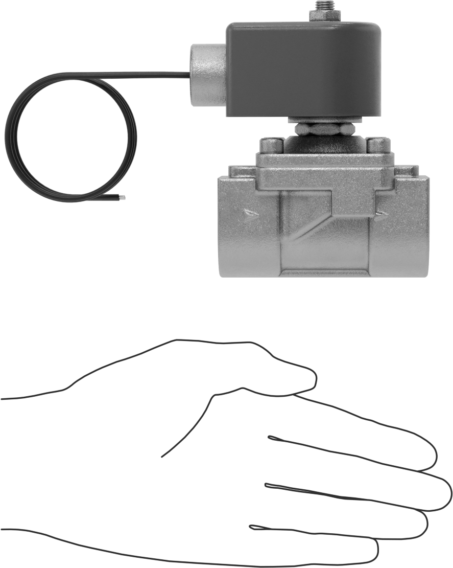 Viton® Contalı 316 Paslanmaz Çelik Solenoid Açma/Kapama Vanası, Soğutucu ve Deterjan için, 1 NPT Dişi