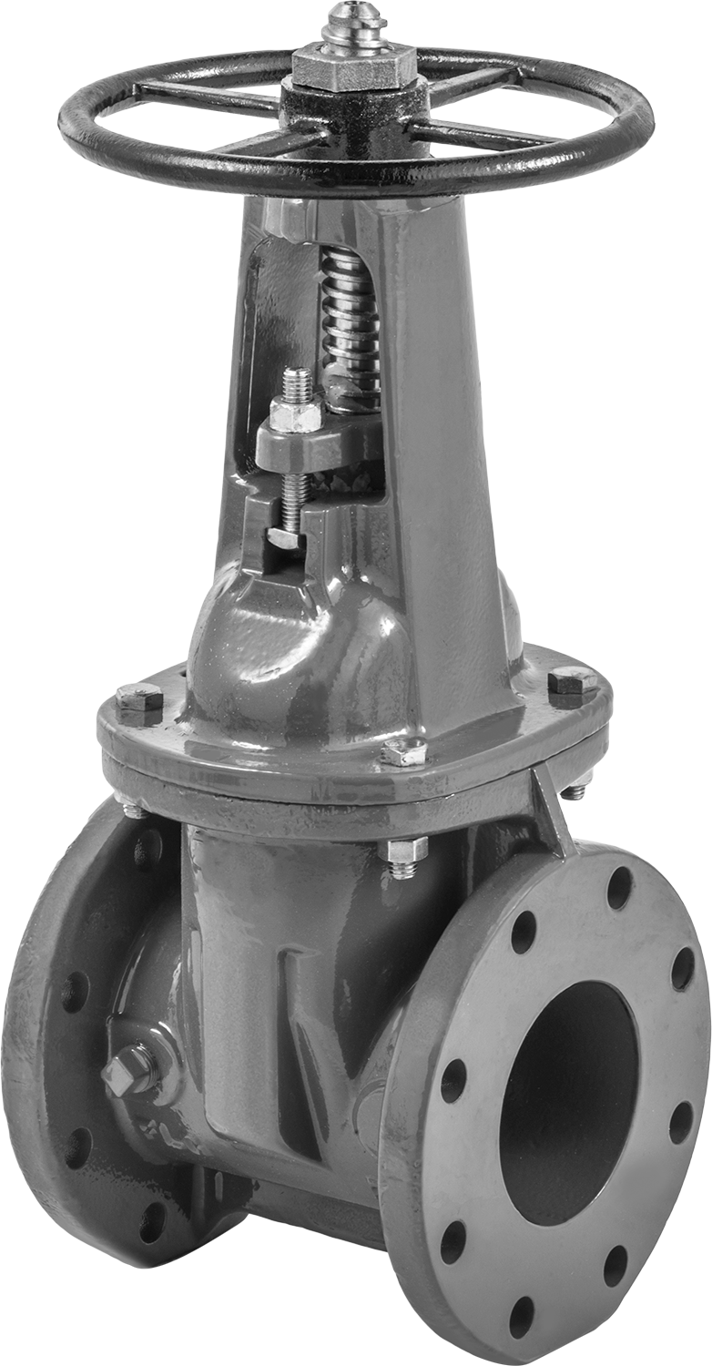 With Wheel Handle, Rising Stem, and Eight Bolt Holes