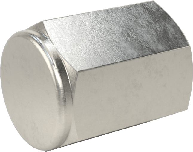 Hassas Aşırı Basınçlı 316 Paslanmaz Çelik Bağlantı Parçası, Kapak, 1/8 NPT Dişi