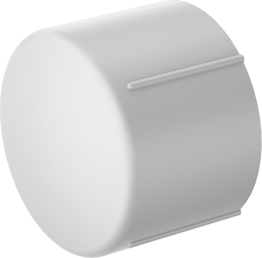 Su için Standart Cidarlı PVC Boru Bağlantı Parçası, Kapak, 2-1/2 NPT Dişi