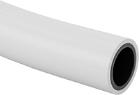 5097T81