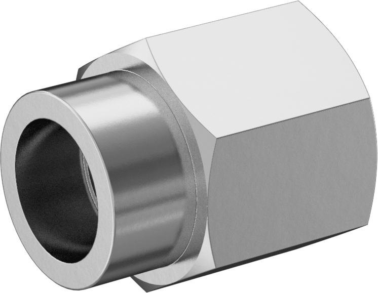 Paslanmaz Çelik Borular için Soket Bağlantılı Fitting, 1" Boru Dış Çap x 1 NPT Dişi için Adaptör