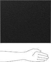 5153N113