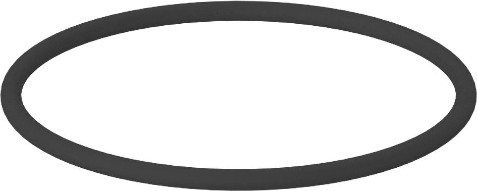 Kimyasallara Dayanıklı Viton® Floroelastomer O-Ring, Kahverengi, 1/16 Kesirli Genişlik, Dash No. 029