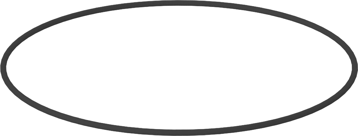 Kimyasallara Dayanıklı Viton® Floroelastomer O-Ring, Kahverengi, 1/16 Kesirli Genişlik, Dash No. 046