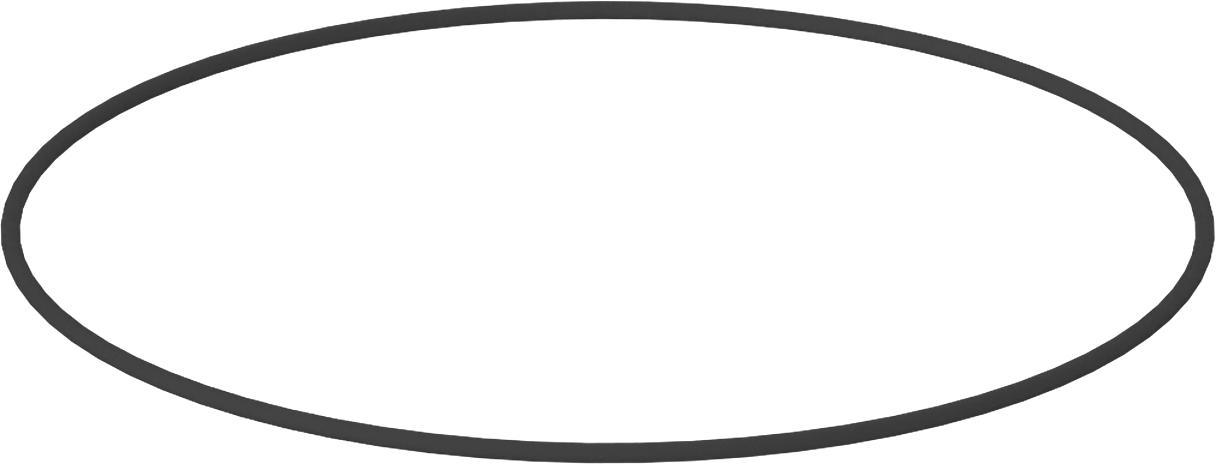 Kimyasallara Dayanıklı Viton® Floroelastomer O-Ring, Kahverengi, 1/16 Kesirli Genişlik, Dash Numarası 047