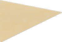 5308N33