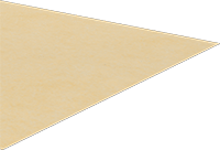 5308N53